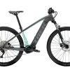 Trek Powerfly 4 625W Grigio/verde Miami